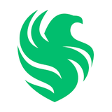 Falcons FGC logo