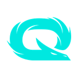 Qlash logo