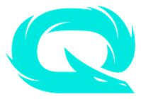 Qlash